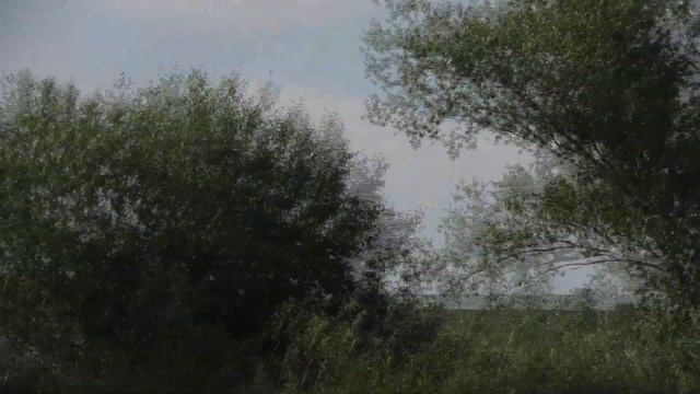 Коров поить на лагерном пруду категорически запрещено. 09. 07. 2019 смотреть онлайн