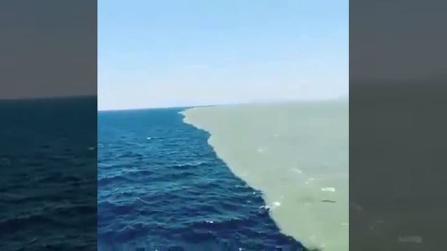 Океанография - Место встречи Тихого и Атлантического океанов. Их воды не перемешиваются. смотреть онлайн