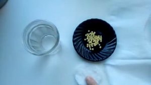 как вырастить рассаду перца легко  , подготовка семян