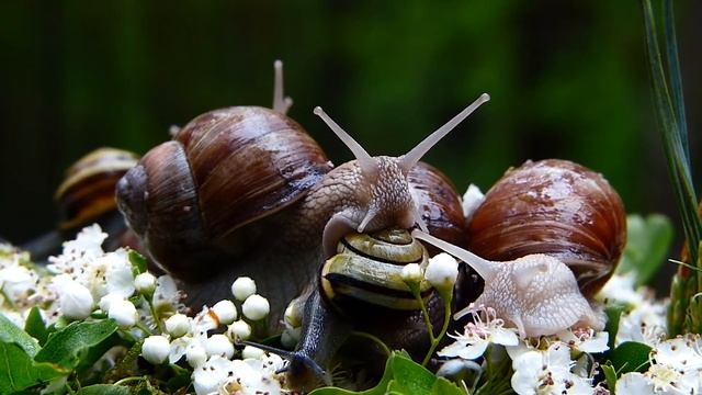 Две девочки не оставили пожилую женщину в беде. смотреть онлайн