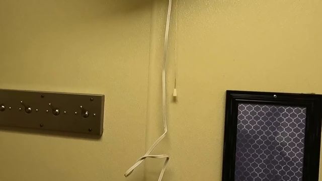 Еду домой, во Флориду, не на своём траке | Дальнобой по США ?? смотреть онлайн