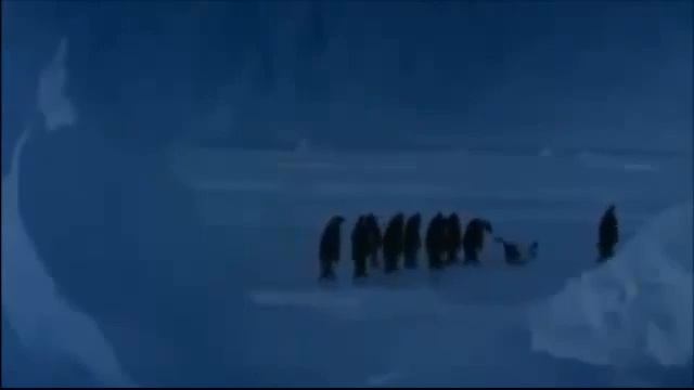 Невозмутимые пингвины смотреть онлайн