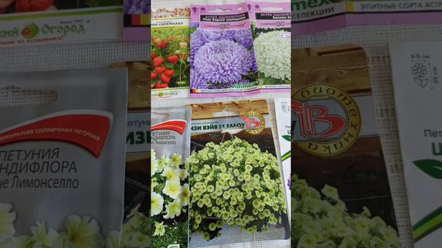 ХРАНИТЕ СЕМЕНА ПРАВИЛЬНО!!!