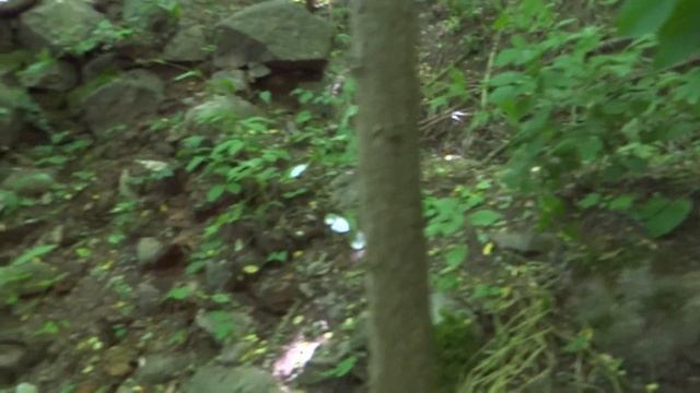 Замок Лохштедт / Прусско-германское наследие / Достопримечательности Калининградской области смотреть онлайн