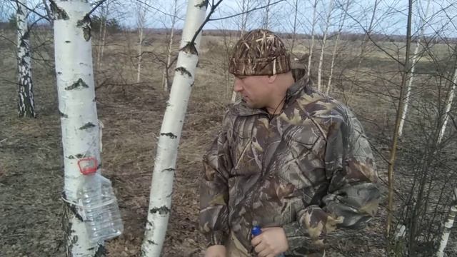 Березовский сок от камней в почках. смотреть онлайн