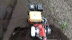 Формирование грядок с помощью мотоблока.