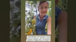 Екатерина Кузнецова @spottykit об ионитных субстратах ЦИОН