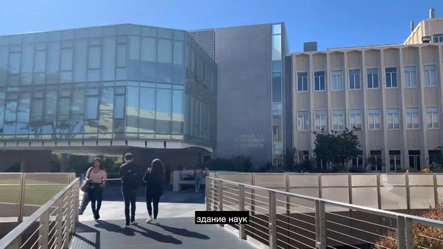 Мой университет в Сан Франциско смотреть онлайн