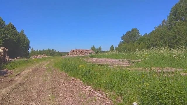 Брошенный лес.Экологическая катастрофа.Калужская область.Износковский район смотреть онлайн