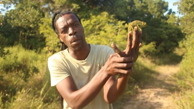 Chameleon Facts Sakhile Dube смотреть онлайн
