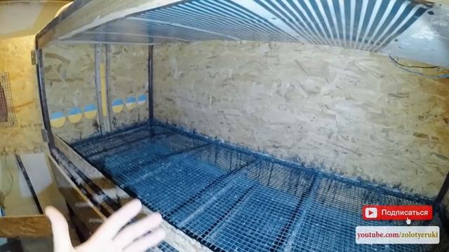 Выращивание цыплят в домашних условиях Норма площади на одного цыпленка в брудере - zolotyeruki смотреть онлайн