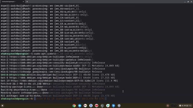 Enable LINUX on Chrome OS with Linux App Store! смотреть онлайн