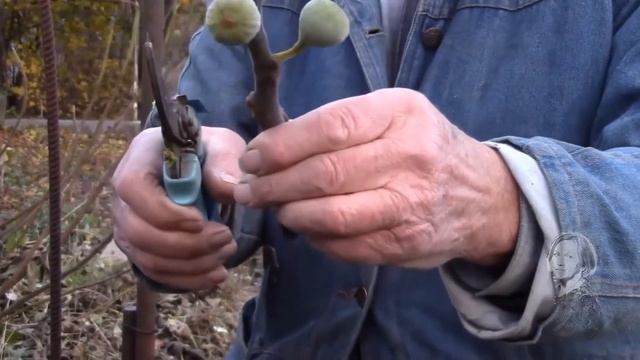 ПРИГЛАШЕНИЕ НА КАНАЛ 