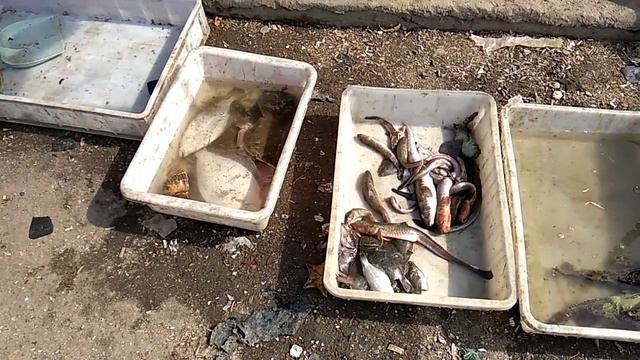 Китайские рыбаки - Жёлтое море смотреть онлайн
