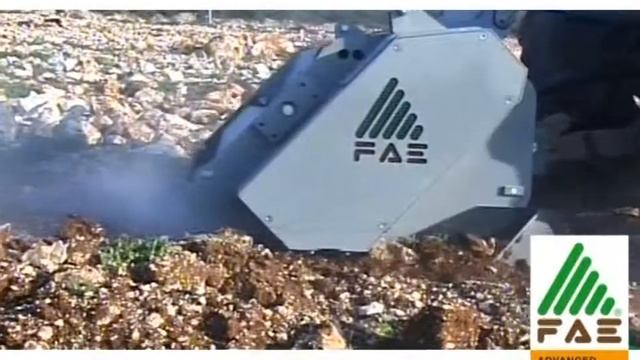 Камнедробилка FAE STC