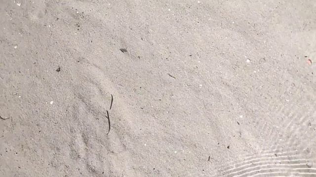 2 июля Азовское море. 21 год. смотреть онлайн