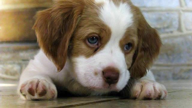 Музыка сердца. Красивая! Русская Рианна! смотреть онлайн