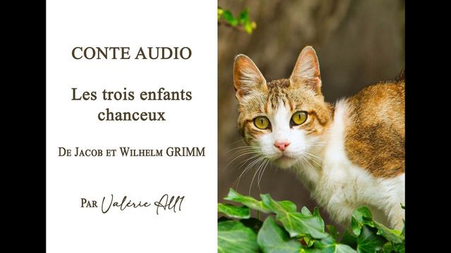 🔸070 Les trois enfants chanceux de Jacob et Wilhelm GRIMM🔸CONTE AUDIO par Valérie All1 смотреть онлайн