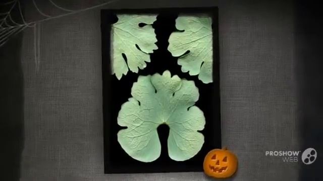 Sanguinaria - Garden Plants