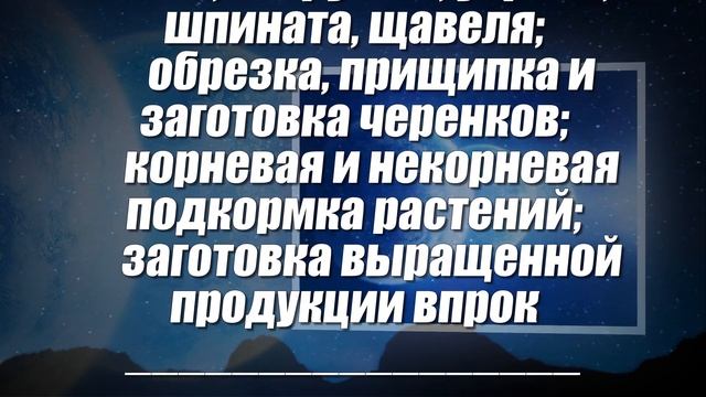 Лунный посевной календарь садовода и огородника на июль 2021года смотреть онлайн