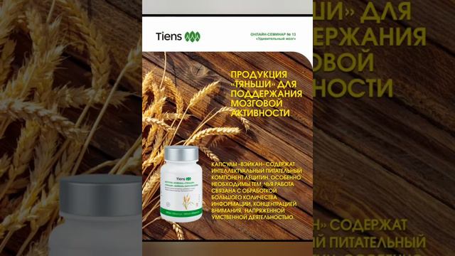 Удивительный мозг / семинар от Ван Чуань смотреть онлайн