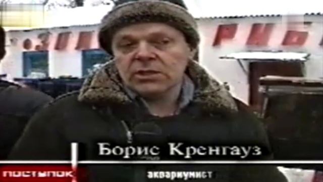 НИКОЛАЙ ЖУКОВ, АКВАРИУМИСТ КОТОРЫЙ ПЕРВЫМ РАЗВЕЛ ГОЛУБЫХ ДИСКУСОВ В СССР! смотреть онлайн