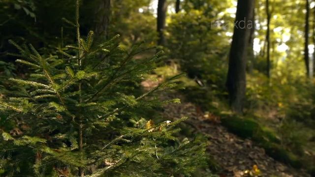 Relaxdaily N°092 – Красивая расслабляющая инструментальная музыка – фортепиано, медленная, легкая