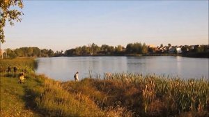 Озеро Мельница в Черёмушках Дарковичах