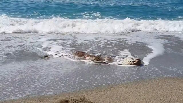 Песчаный пляж Конак, Алания | Konakli, Alanya. Sandy Beach Konak, Elite Amiral Residences