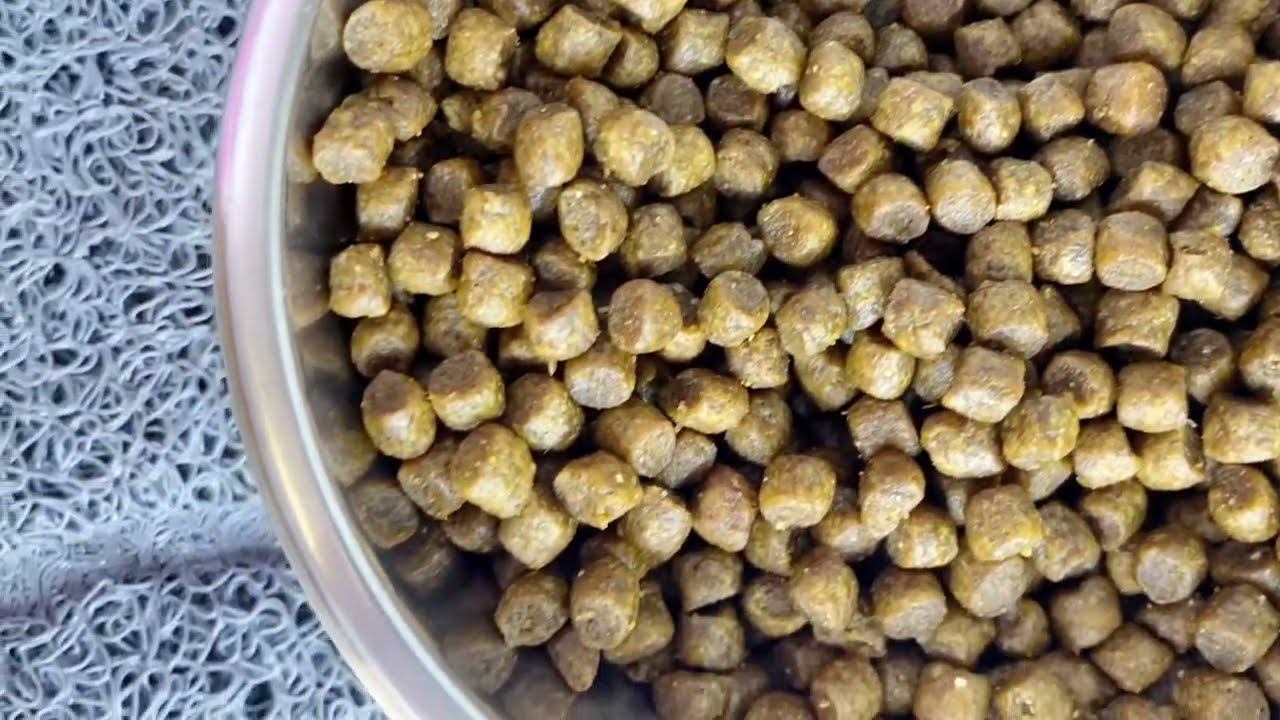 Корм для котят PROBALANCE "1`ST DIET KITTEN" смотреть онлайн