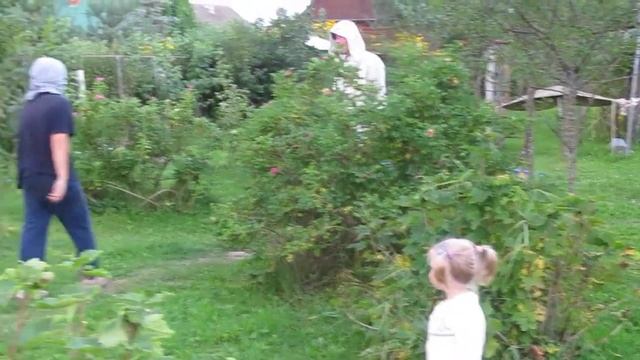 Лето 2011 упражнение лягушка не царевна 001.MOV смотреть онлайн