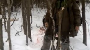 РЕЛ - Охота на медведя