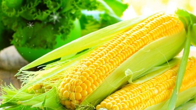 КУКУРУЗА ПОЛЬЗА И ВРЕД смотреть онлайн