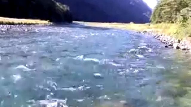 River in Fiordland National Park смотреть онлайн