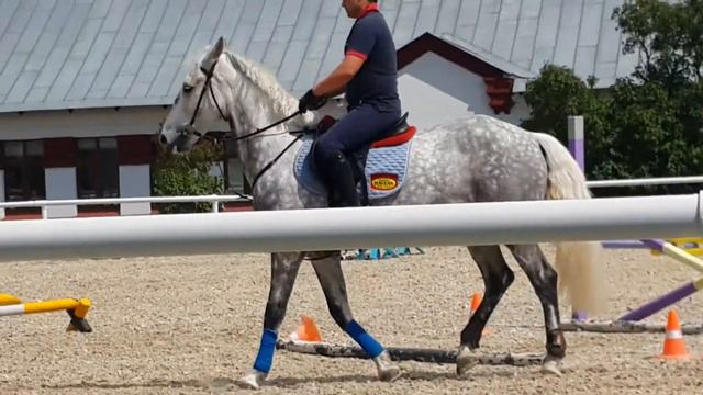 Коневодство и эподром на ВДНХ 2018 смотреть онлайн