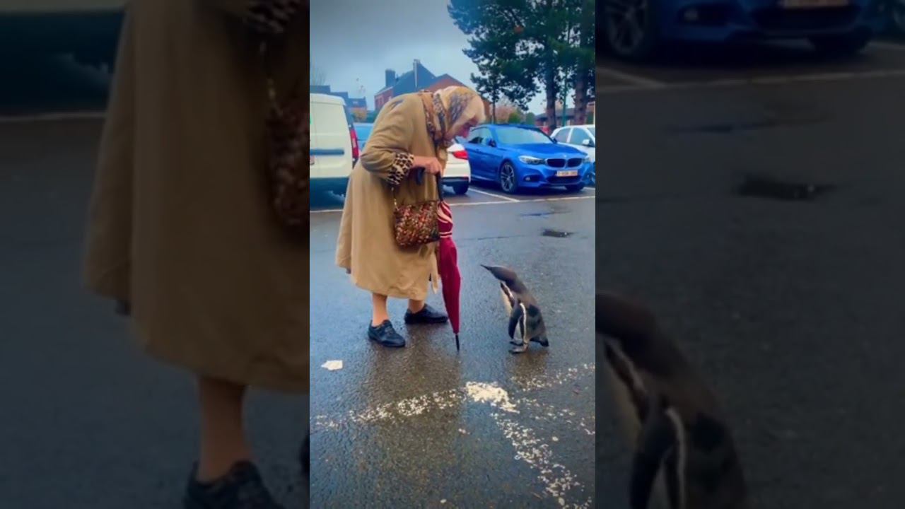 Он её не понял смотреть онлайн