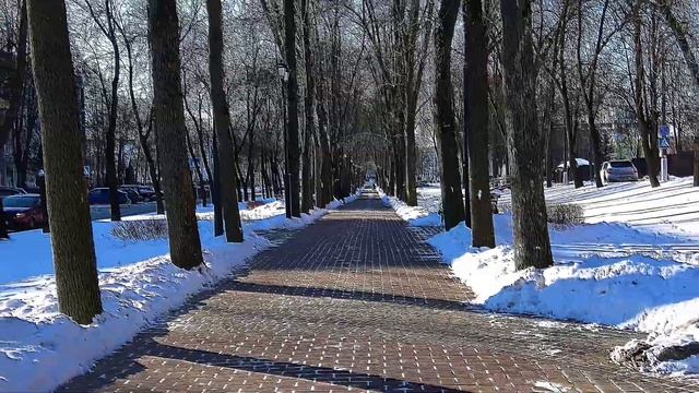 Зимние пейзажи в Витебске 2021