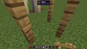 Лифт на версии 1.16 / Лифт на песке душ и магме.