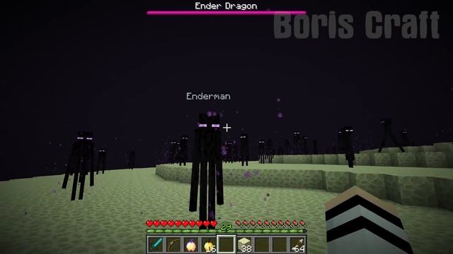 DON'T BE FRIENDS WITH ENDERMAN IN MINECRAFT BY BORIS CRAFT смотреть онлайн