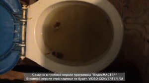 зверево ростовская область