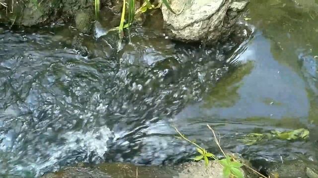 Река Жихорец после чистки (Каскадные гаражи) смотреть онлайн