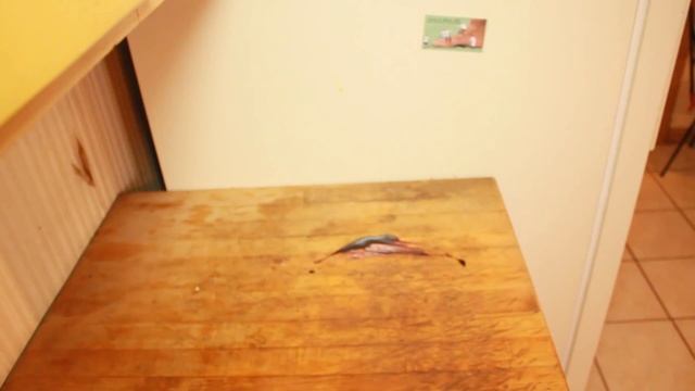 The Knife Game Song Fail смотреть онлайн
