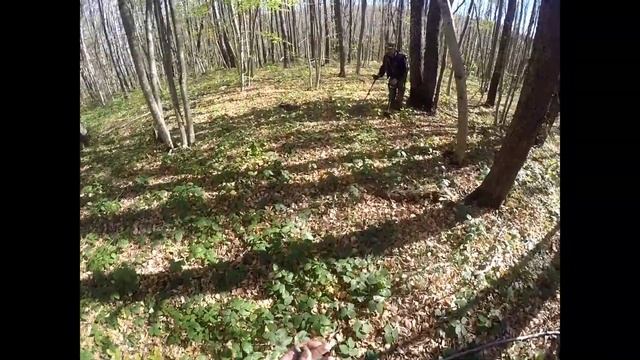 Криминальные НАХОДКИ в горном ЛЕСУ