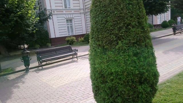 Кисловодск. Курортный бульвар и мертвая ? лиса...27.08.2022 г. смотреть онлайн