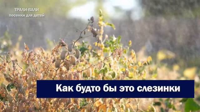 Летний вальс 4 «Г» смотреть онлайн