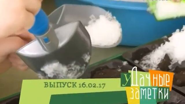 Удачные заметки 28.02.2017. Дачные советы. Садовая техника. Сельдерей. Томаты смотреть онлайн