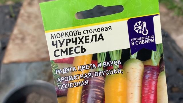 Посадка моркови без прополки и прореживания. ???Японский способ.?? смотреть онлайн