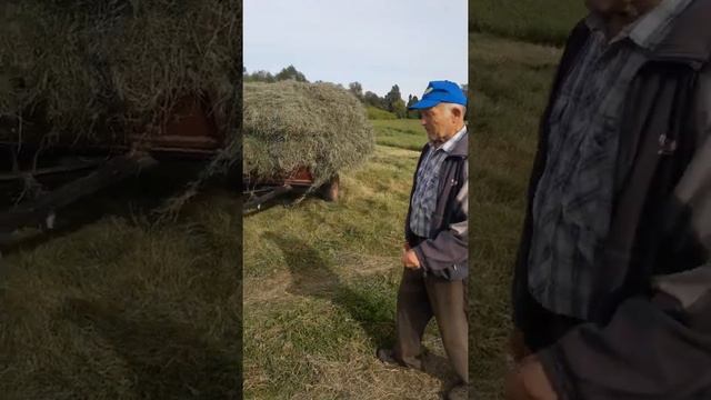 универсальный самодельный прицеп для трактора т 16 и автомобиля нива смотреть онлайн