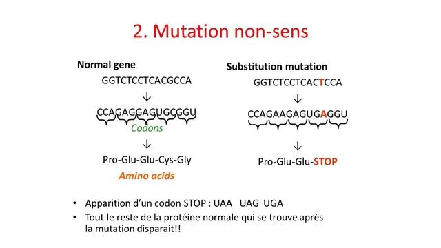 Mutation partie 1: Conséquences moléculaires des différents types de mutations смотреть онлайн