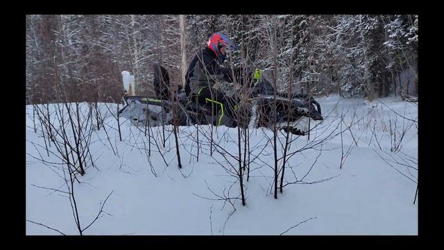 Покатушки Ушково Рощино март 2023 смотреть онлайн